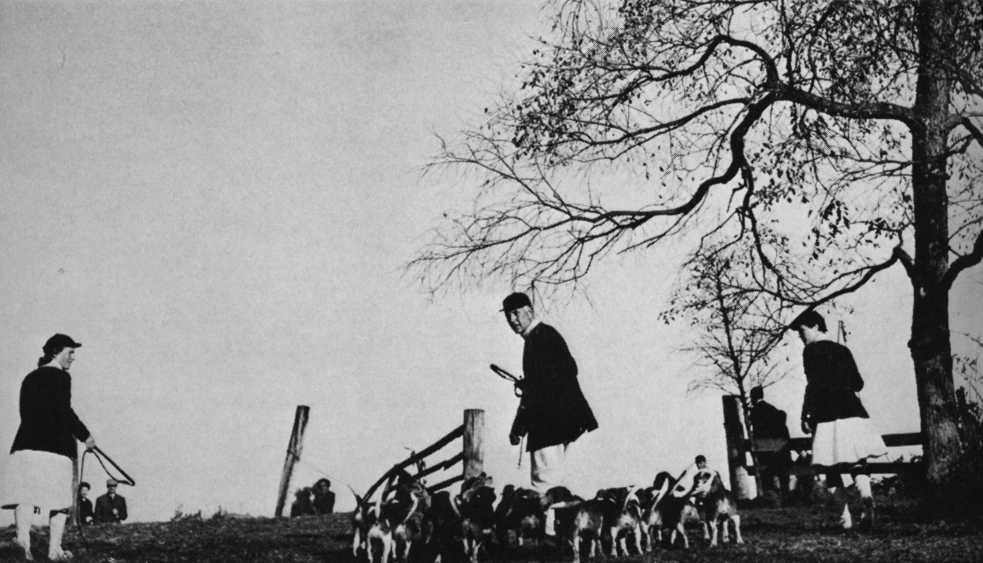 Sandanona Beagles.jpg