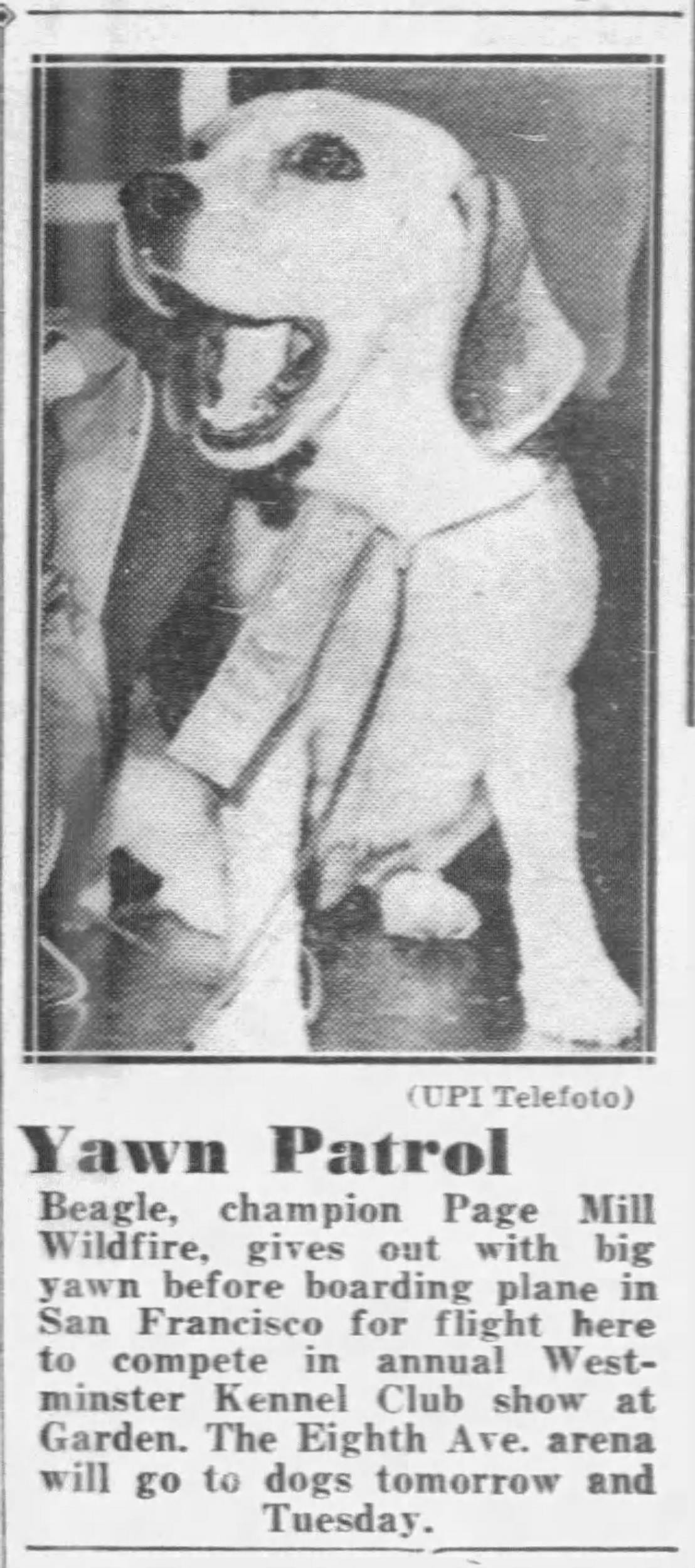 Daily_News_Sun__Feb_14__1965_.jpg