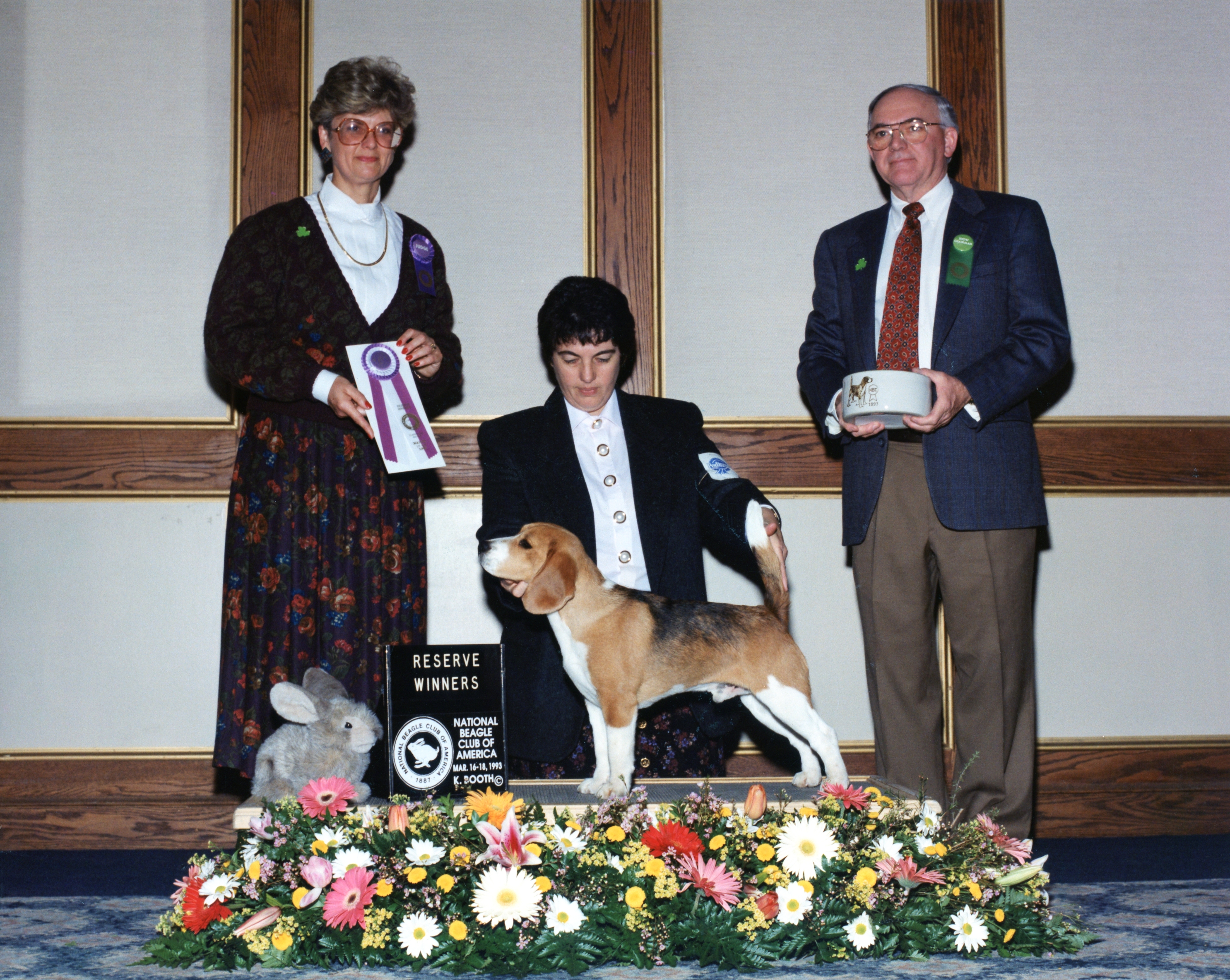 Starbuck Torbay Benchmark.jpg