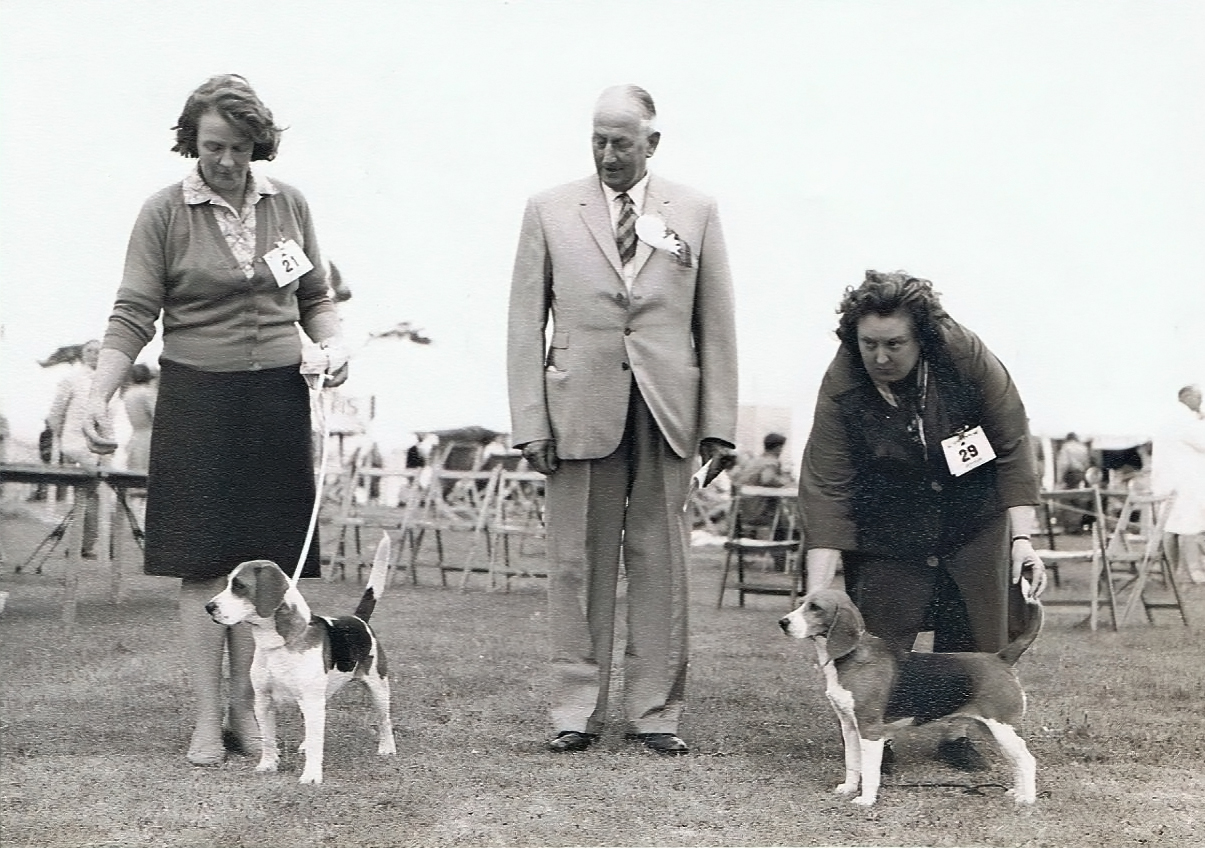 Rossut Treetops Hasty Footsteps - Judge Mr Parker at Paignton Ch. Show. 1963 DCC  Mrs M Nuttall with Manico Chancelor.jpg