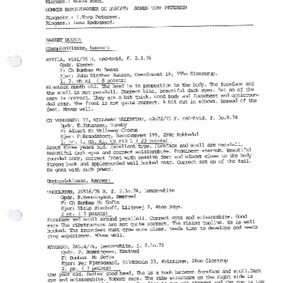 Beagle og Basset - resultater 1977 - del 2.pdf