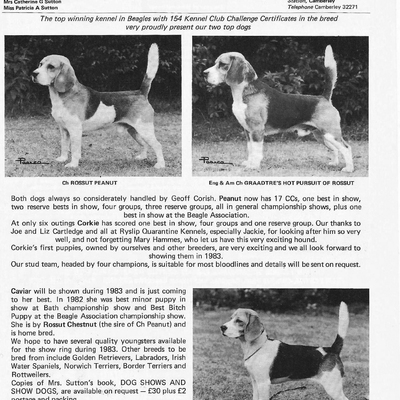 Rossut Kennels advert5.jpg