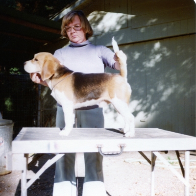 Jana Nassau of Page Mill 2.jpg
