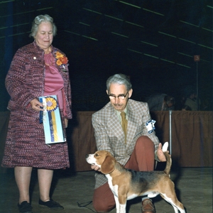 elsys lady killer.jpg