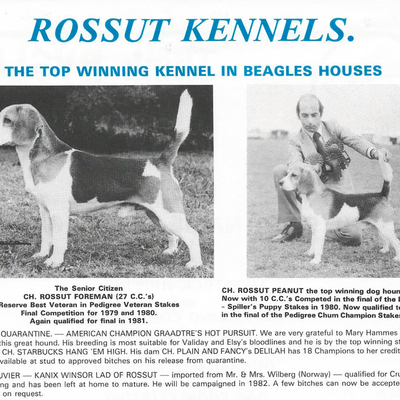Rossut Kennels advert1.jpg