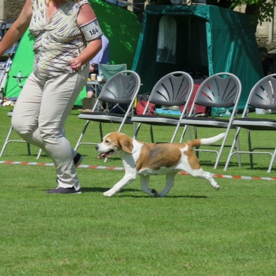 IMG_1514.JPG