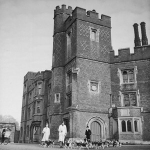 Eton students w. war pack of beagle hunting dogs as they pepare for hunting hares, in front of the new buildings in Weston Yard which houses seventy scholars. - 1939.jpg