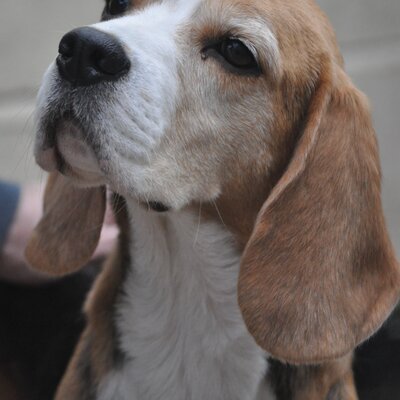 Dsc_1160.jpg