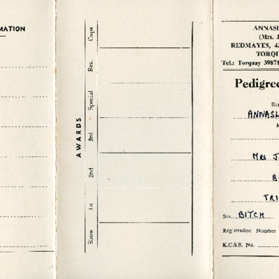 Pedigree Certificate of Annasline Go Jo.pdf