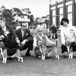 beagle club victoria 1969.jpg
