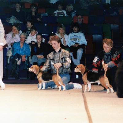 Show of Winners 1987. Daisy Hills Tyste Tusindfryd (left) and Daragoj Casio (right).jpg