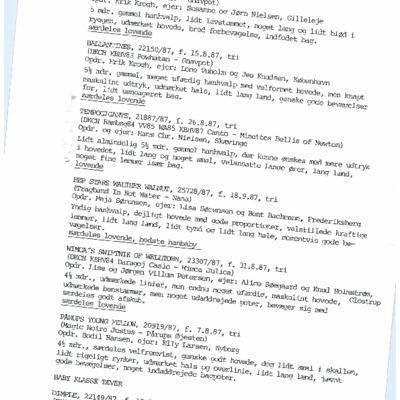 Beagle - resultater 1988 - del 1.pdf