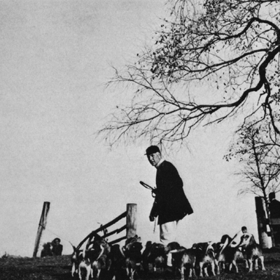 Sandanona Beagles.jpg