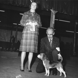 elsys unknown  beagle 1976.jpg