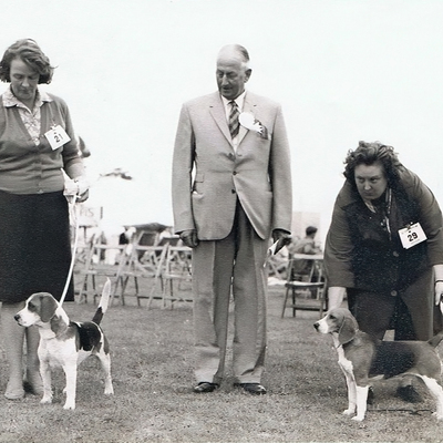 Rossut Treetops Hasty Footsteps - Judge Mr Parker at Paignton Ch. Show. 1963 DCC  Mrs M Nuttall with Manico Chancelor.jpg