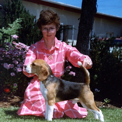 white acres designer label.jpg